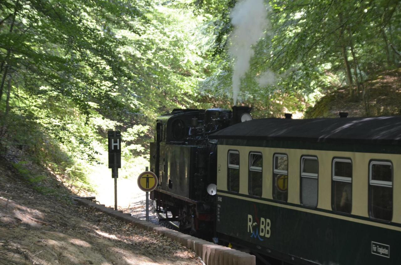 Meerforelle 207 - Villa Seeblick Sassnitz Zewnętrze zdjęcie