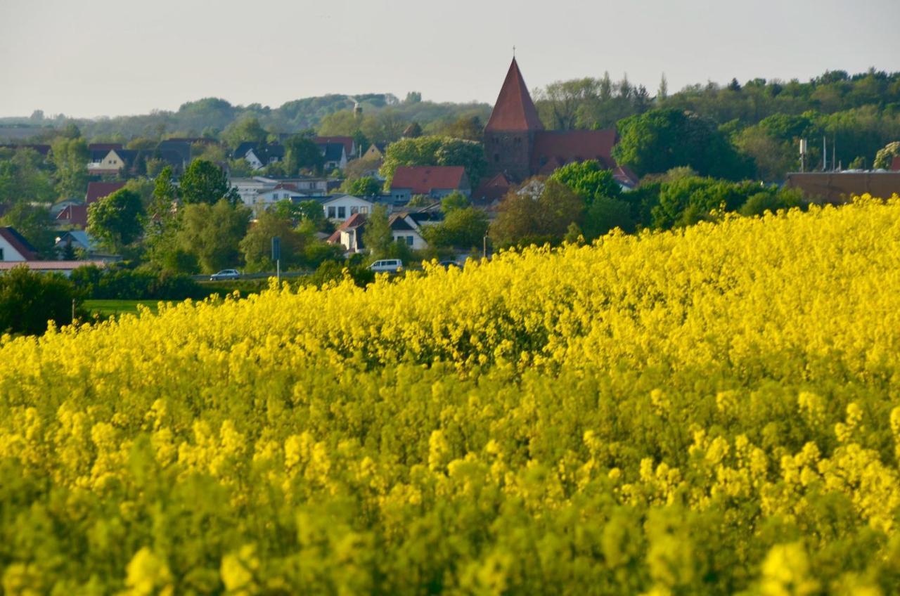 Meerforelle 207 - Villa Seeblick Sassnitz Zewnętrze zdjęcie